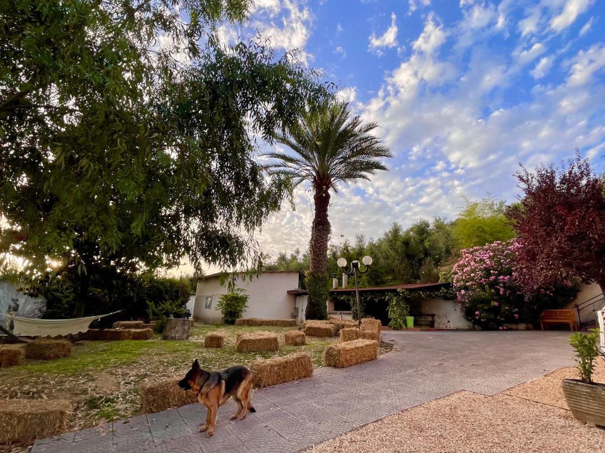 Donna Vittori - Borgo Agricolo Apart otel Paliano Dış mekan fotoğraf