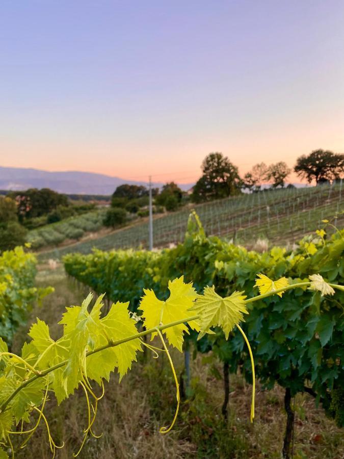 Donna Vittori - Borgo Agricolo Apart otel Paliano Dış mekan fotoğraf