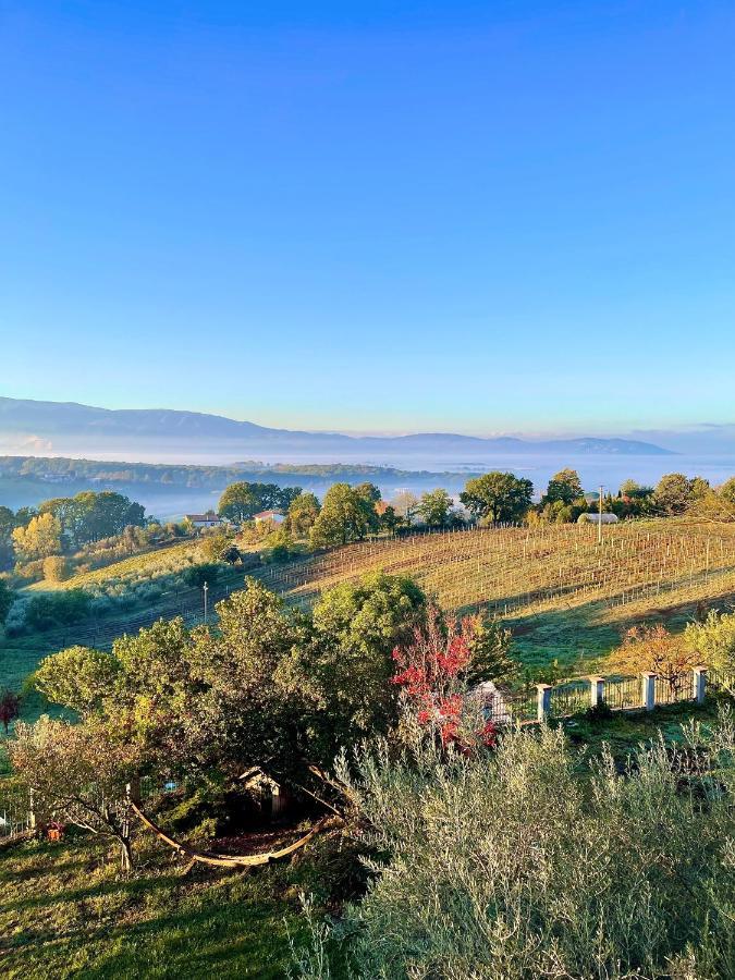Donna Vittori - Borgo Agricolo Apart otel Paliano Dış mekan fotoğraf