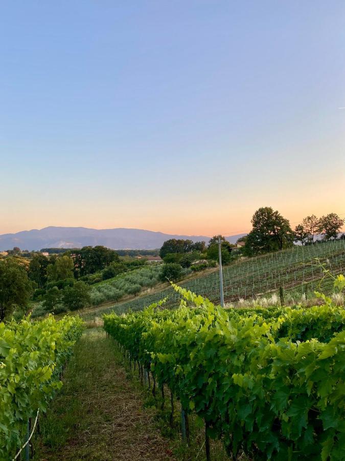Donna Vittori - Borgo Agricolo Apart otel Paliano Dış mekan fotoğraf