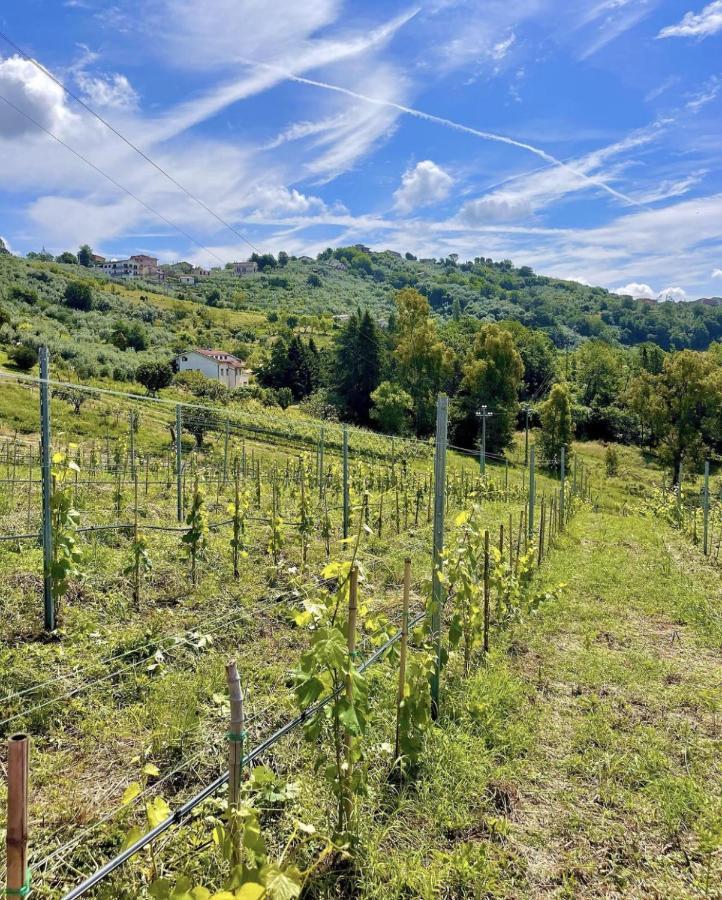 Donna Vittori - Borgo Agricolo Apart otel Paliano Dış mekan fotoğraf