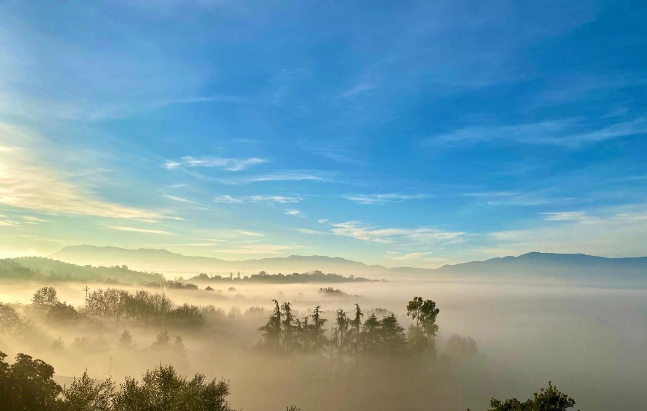 Donna Vittori - Borgo Agricolo Apart otel Paliano Dış mekan fotoğraf
