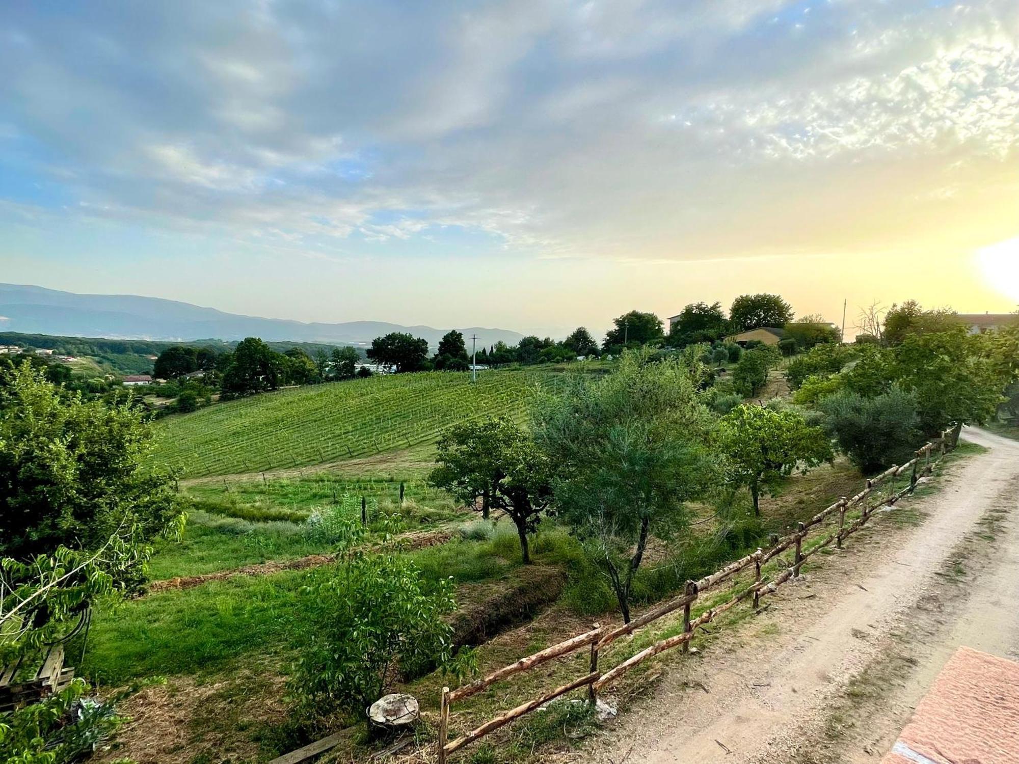 Donna Vittori - Borgo Agricolo Apart otel Paliano Dış mekan fotoğraf