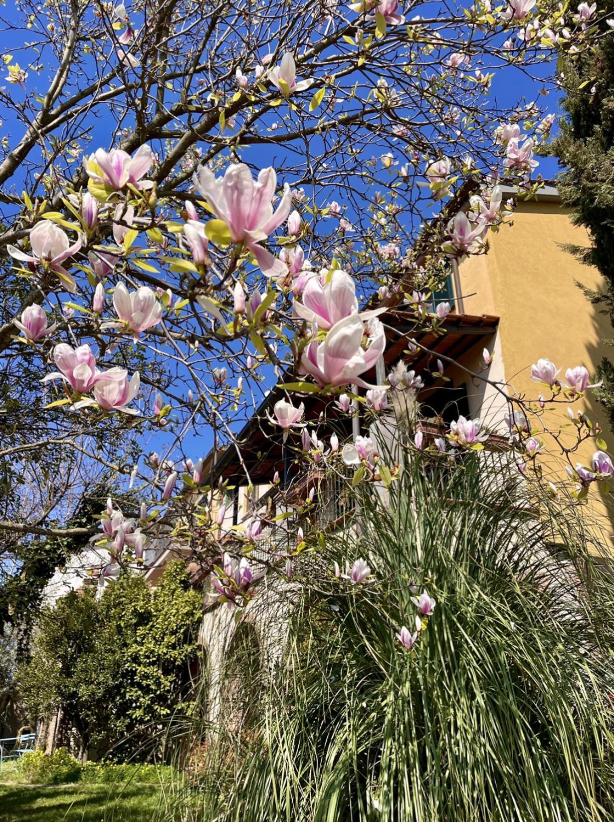 Donna Vittori - Borgo Agricolo Apart otel Paliano Dış mekan fotoğraf